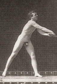 Plate 277 Baseball, batting — figure reference